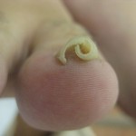 2012_0607_150620-IMG_0001