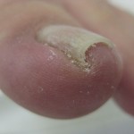 2012_0803_150726-IMG_0036