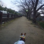 2012_1207_065038-P1050337