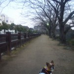 2012_1207_065053-P1050338