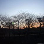 2012_1207_065400-P1050340