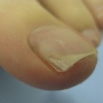 2012_1210_131207-IMG_0023