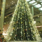 2012_1212_171402-IMG_0039