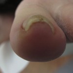 2012_1215_151824-IMG_0083