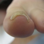 2012_1215_152928-IMG_0086